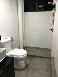 Laguna Park (D15), Apartment #496205541